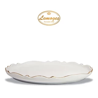 دیس گرد موج بزرگ