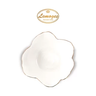 سرویس بستنی خوری رز