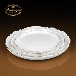 دیس گرد موج بزرگ